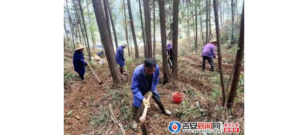 永丰古县镇：摸索“四种”模式  强大村集体经济