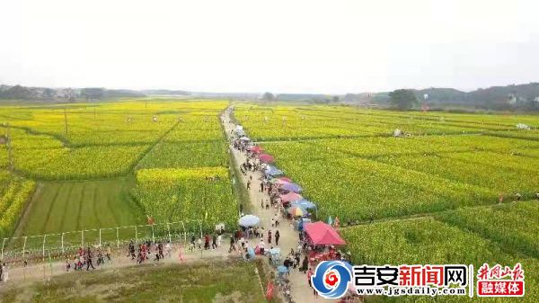 吉水乌江：“花海经济”助力村落振兴